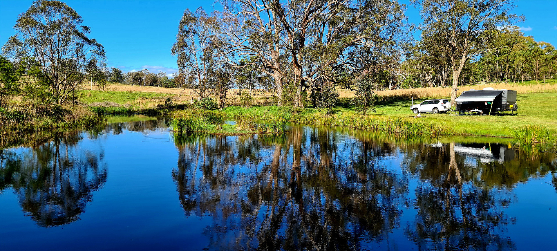 Redgum Site (Site 7)