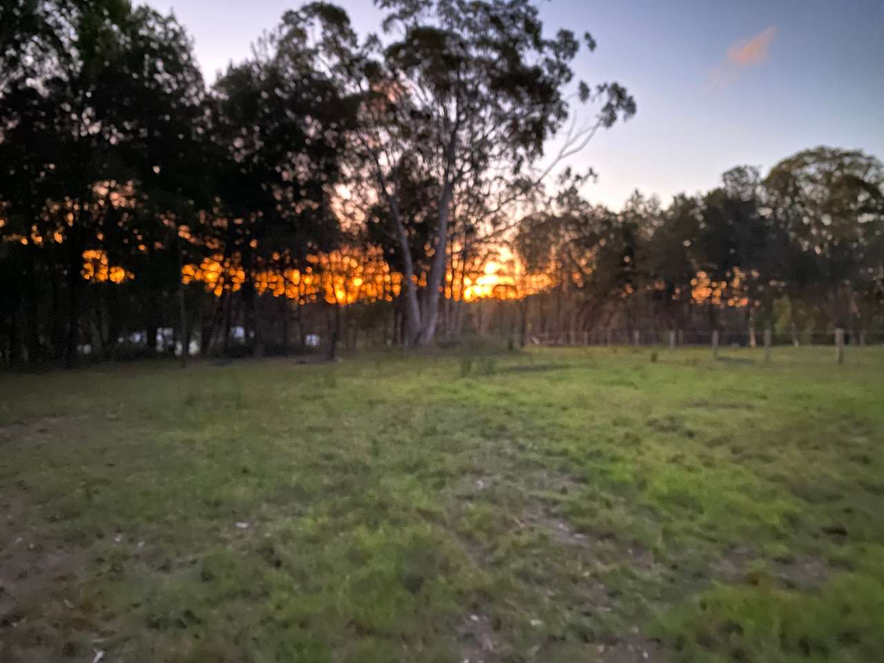 Amaroo Acres