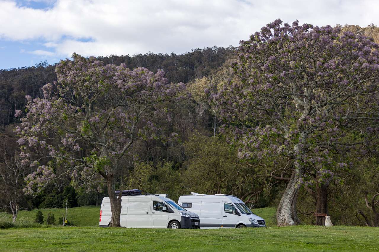 Homestead campsite 
