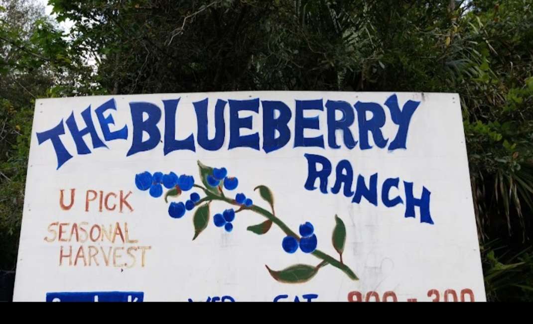 The Blueberry Ranch