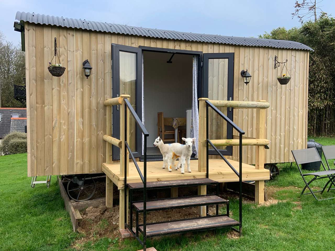Rosie - situated in Poldark Country