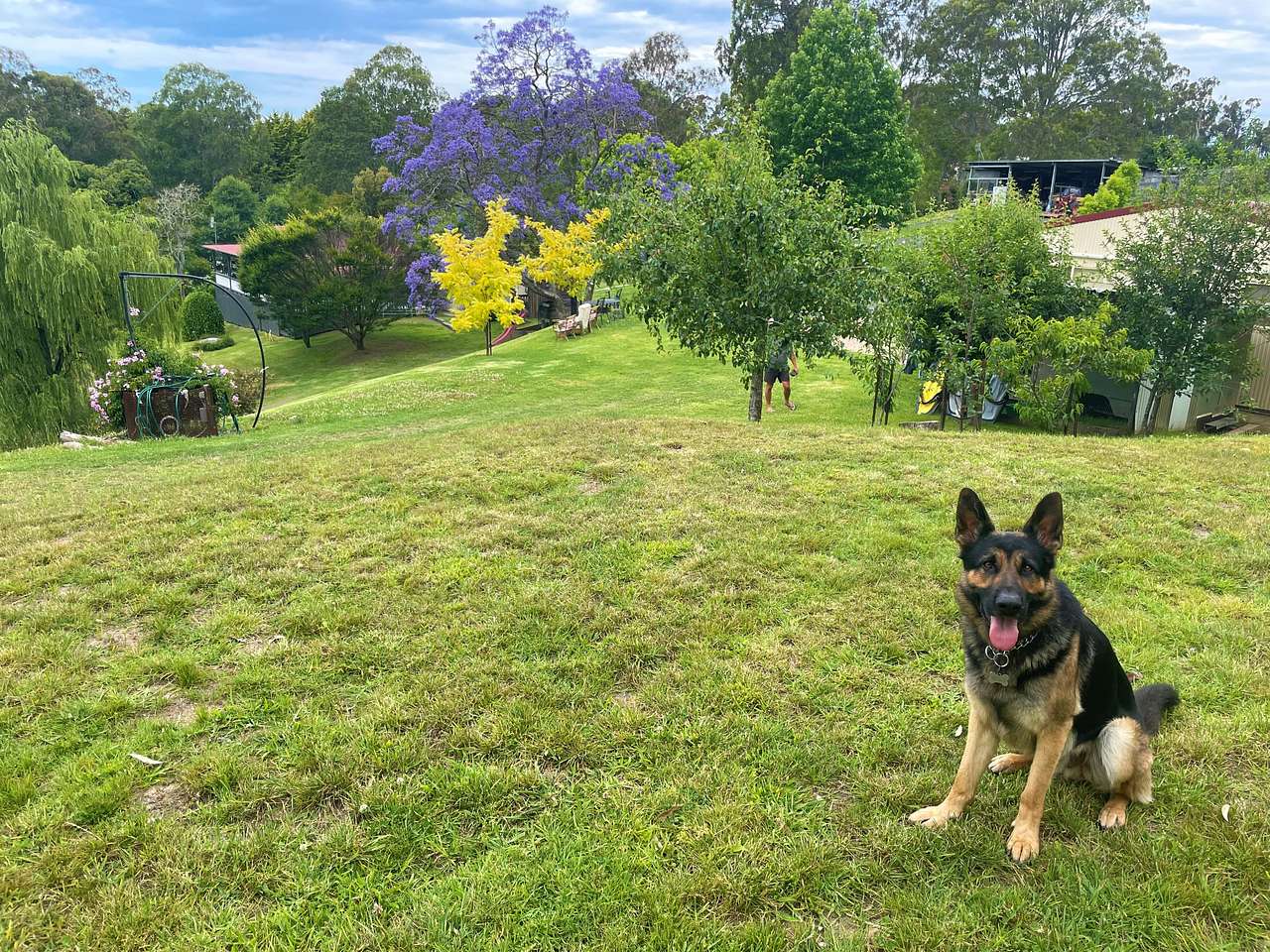 Nello Campsite