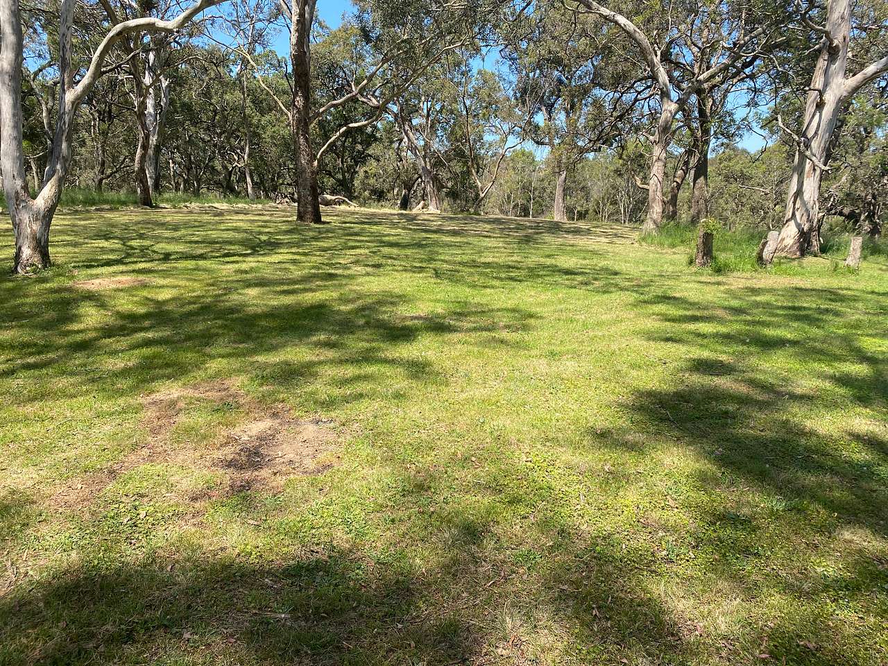 Hicklam Grange