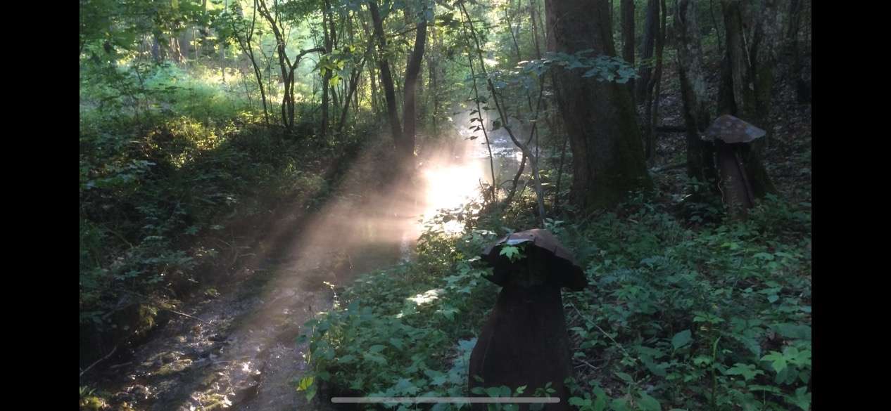 Second Valley and the spring on a foggy morning hike.  Oh yea, the mushrooms are not real.  haha