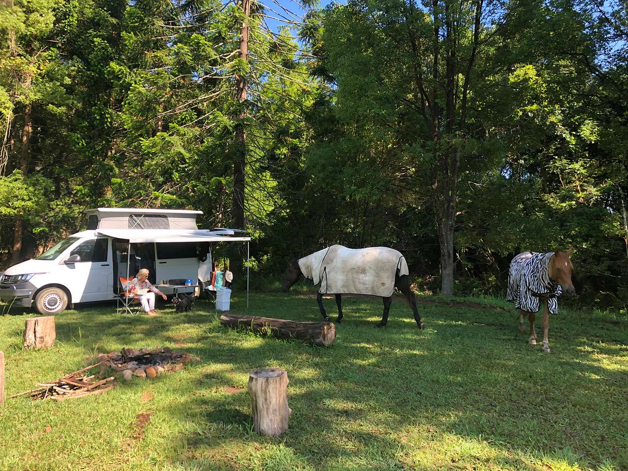 Rowlands Creek Camp Area