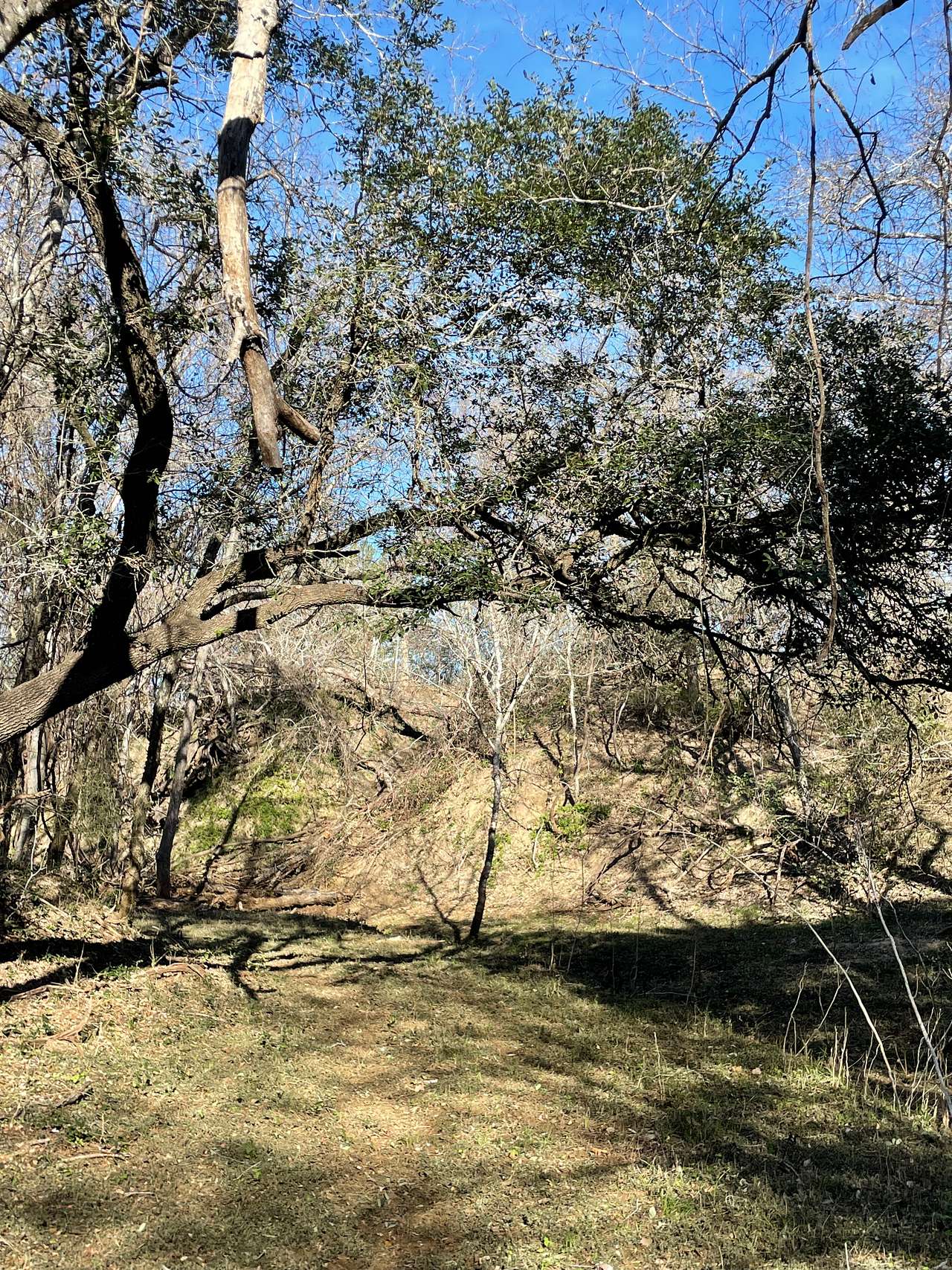 Hiking Trails
