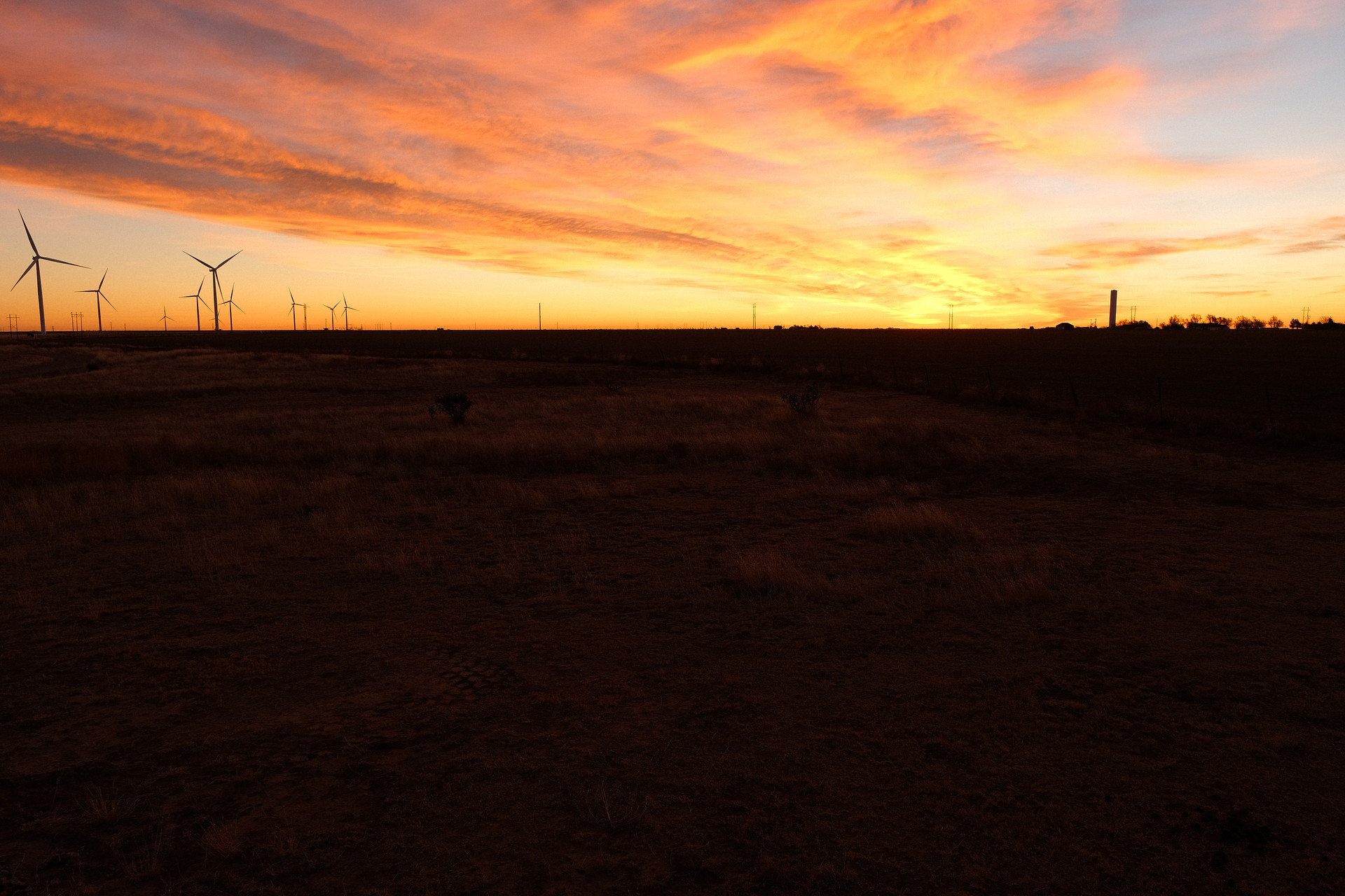Coyote Breaks Farm