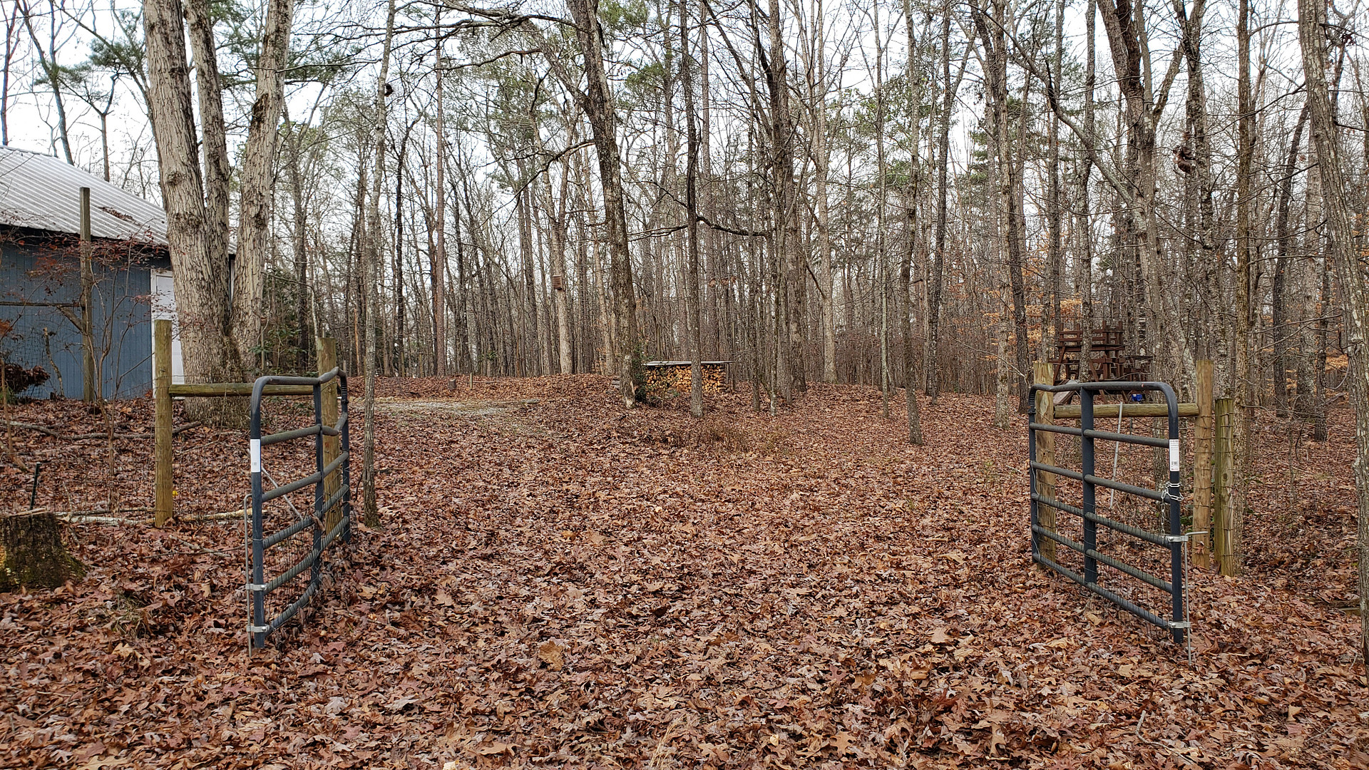 Entrance up the gravel driveway to our gravel pad