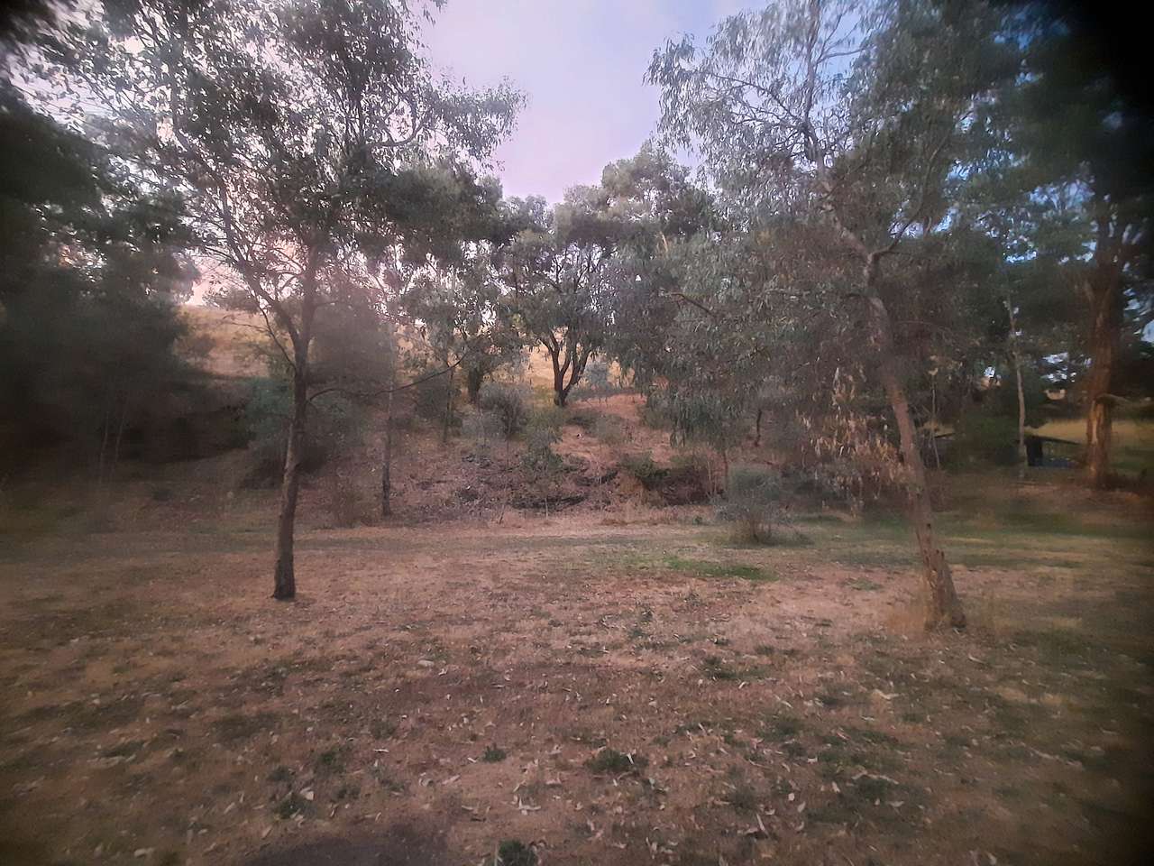 Camp Toondilla (Clarendon SA)
