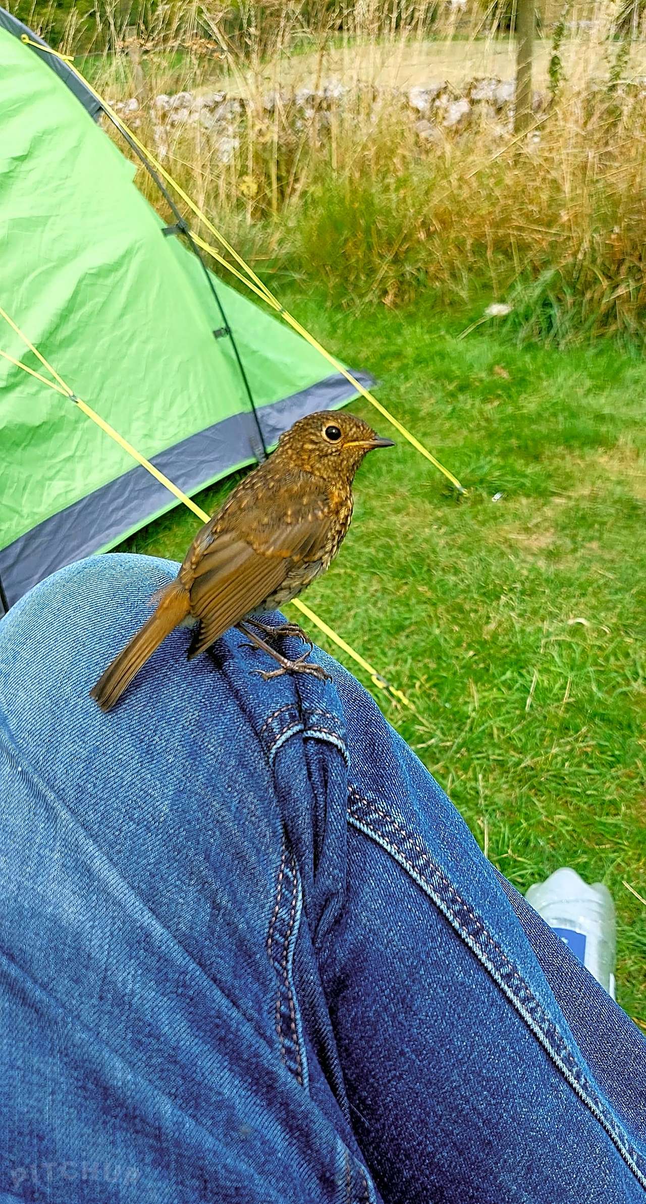 Crowdecote Campsite