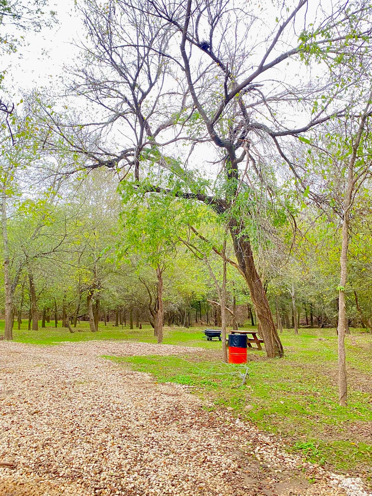 🏕️ site #3 PRIVATE Tucked into the woods a bit but just feet from the riverbank and the community bathhouse!! 