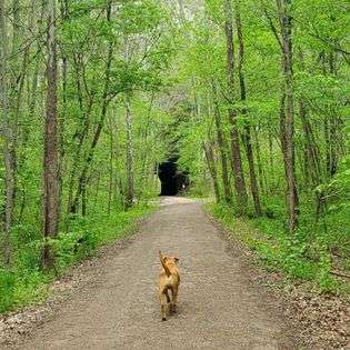 Kings Hollow Tunnel is a short jaunt from camp.