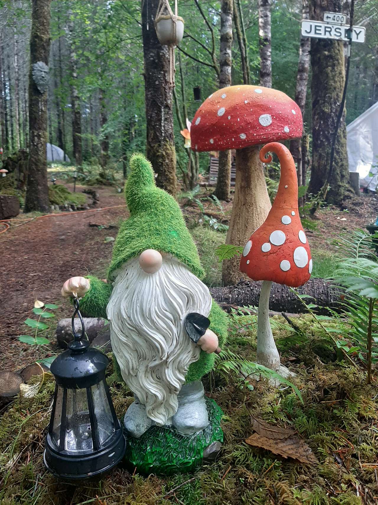 Elfendahl Forest