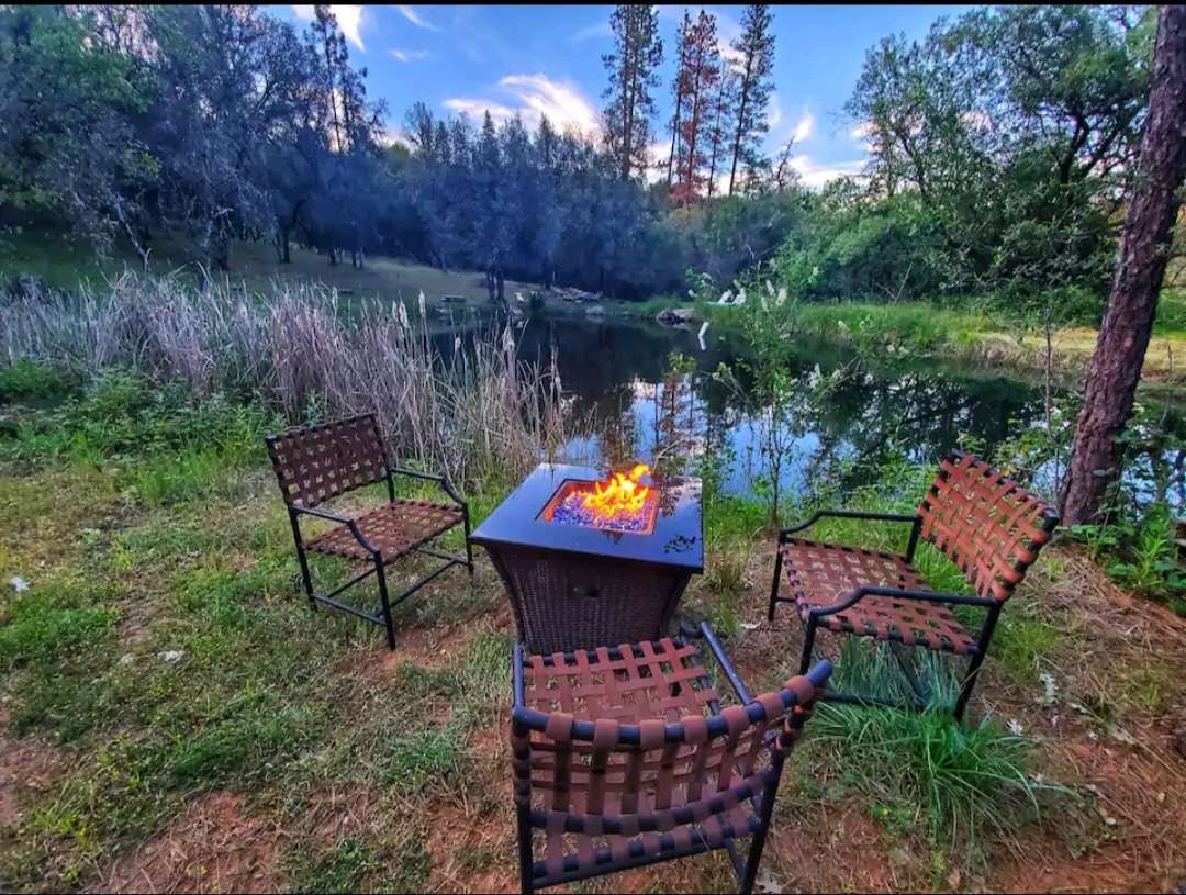 Peaceful Pond Retreat