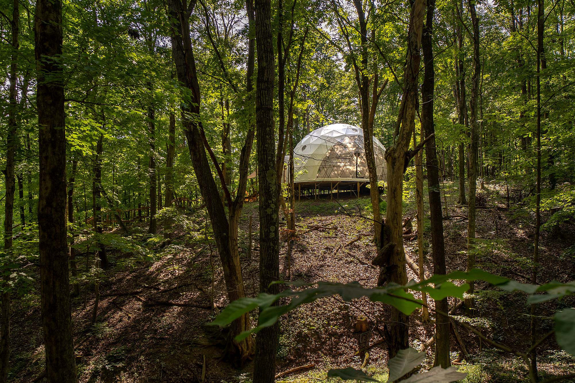 Geode Nature Domes