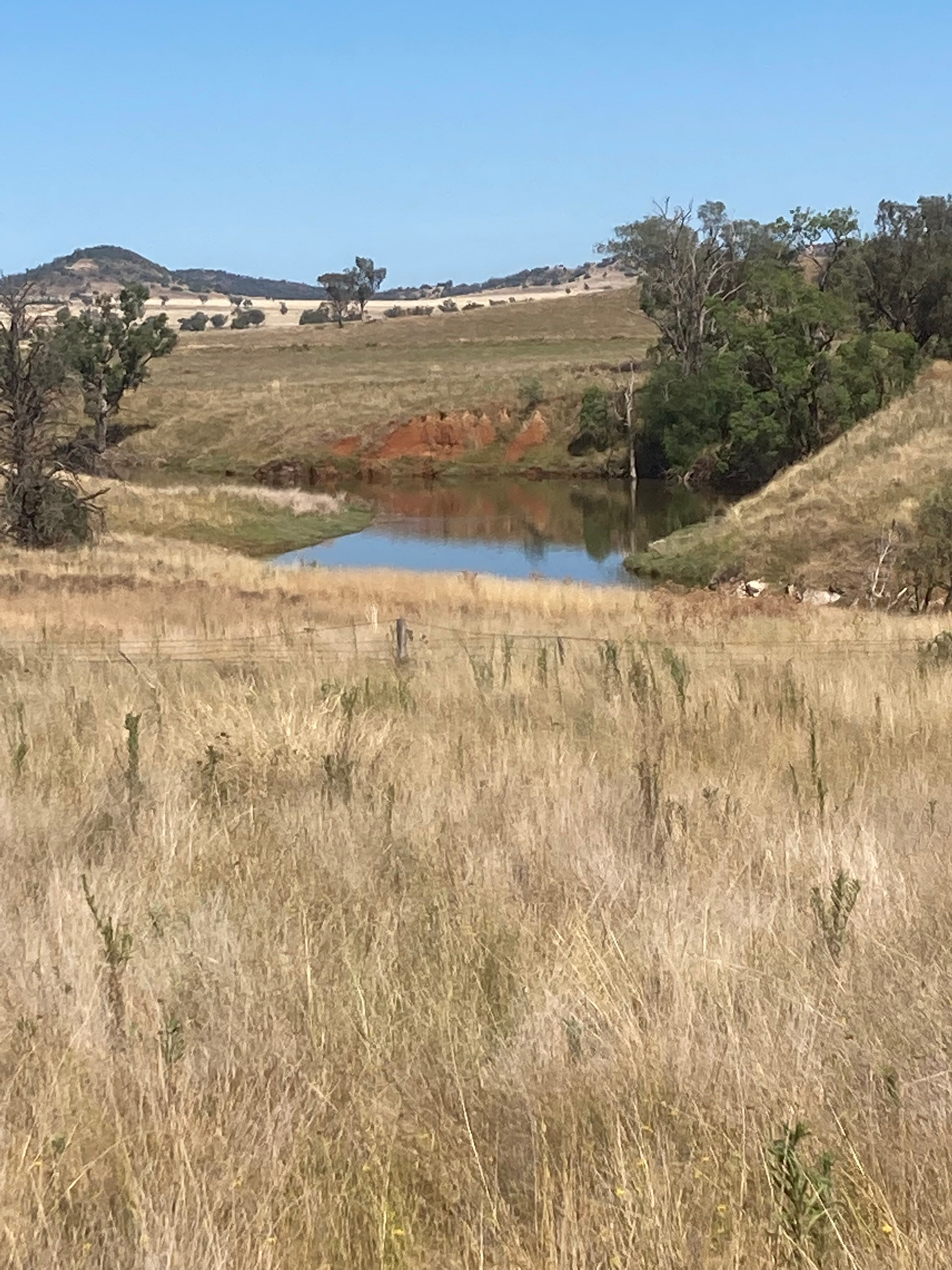 Myall Springs Lake