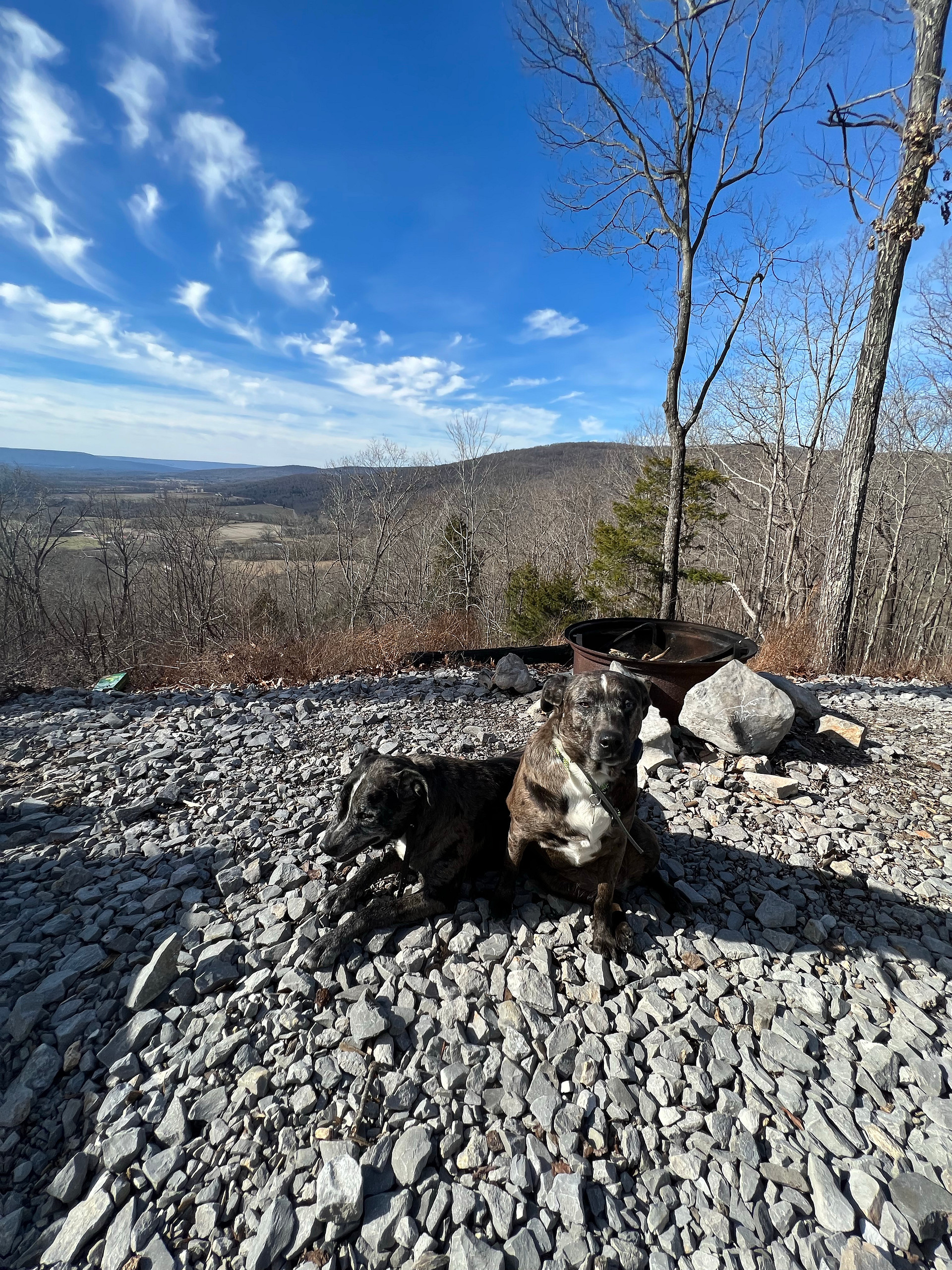 Elk Head Overlook