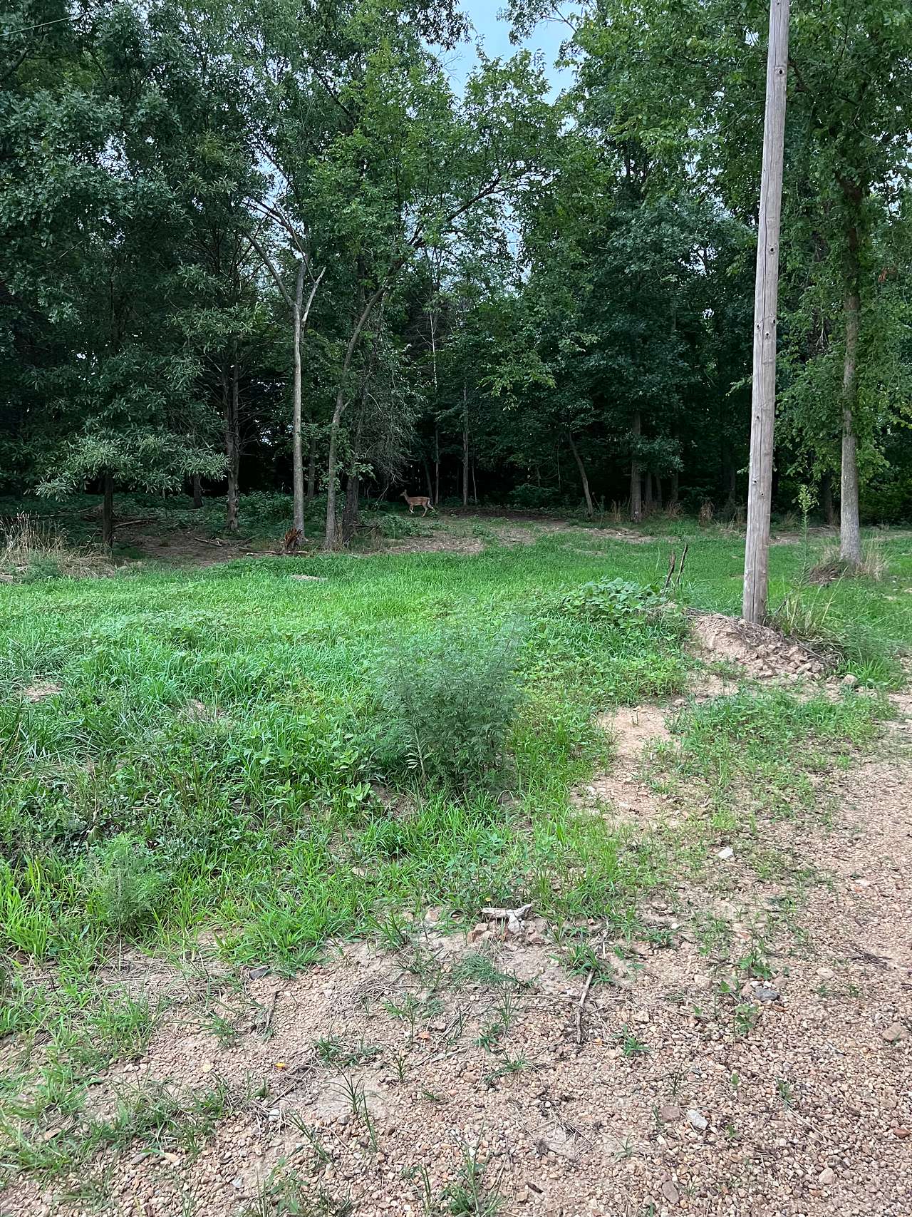 Big River Outdoors Campground
