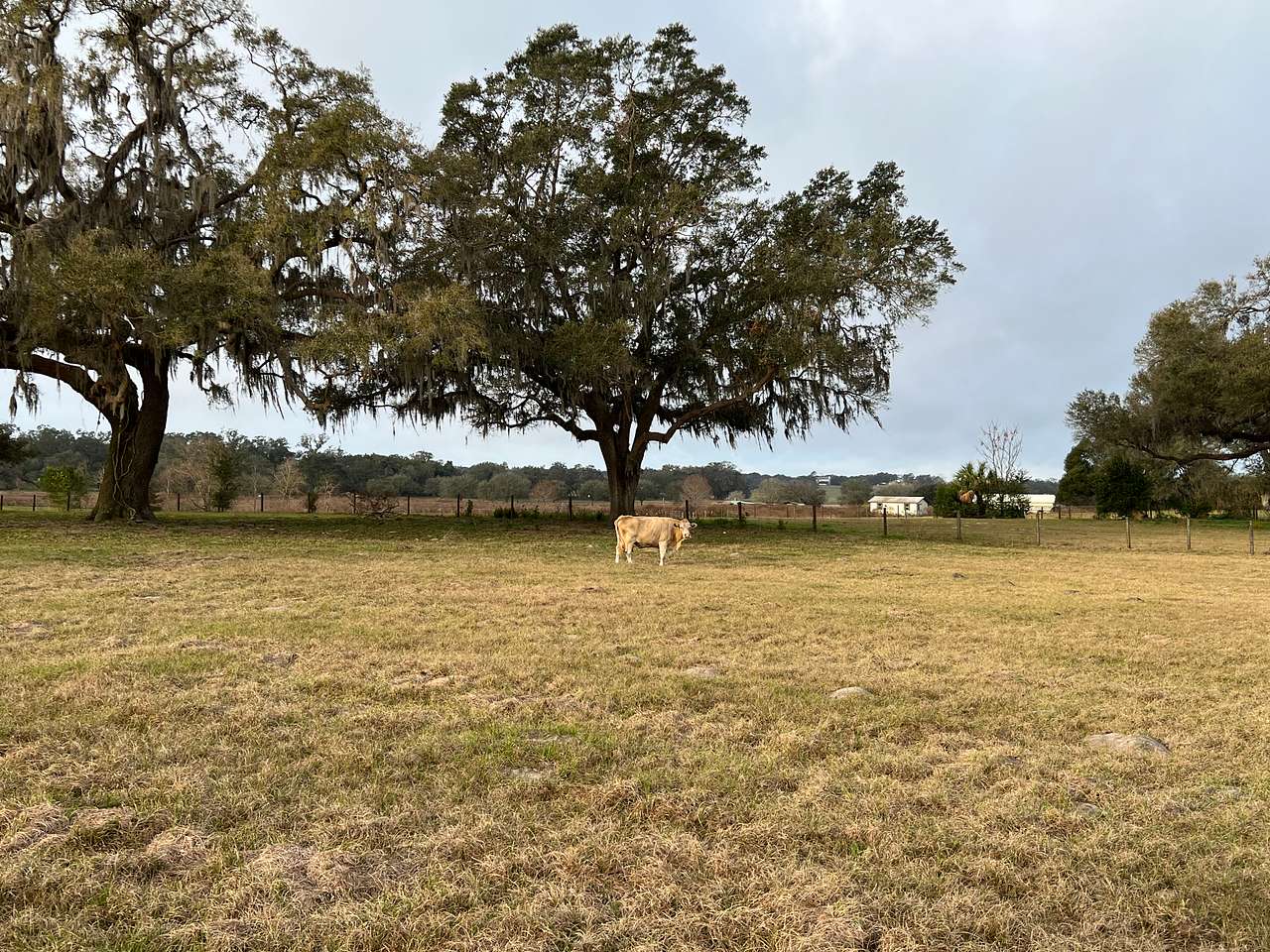 Pennylane Farm