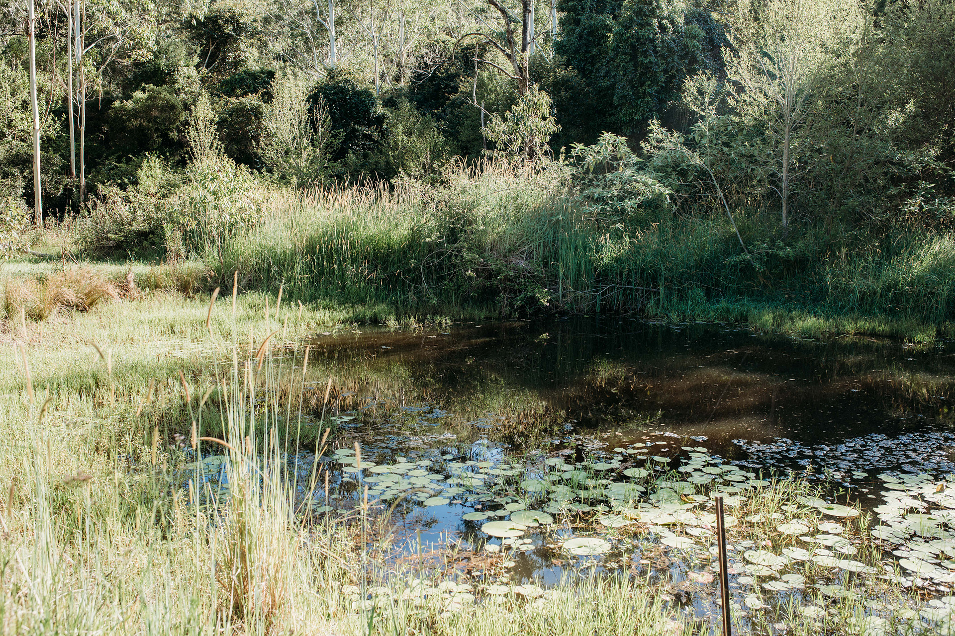 Mimi Valley, Krambach