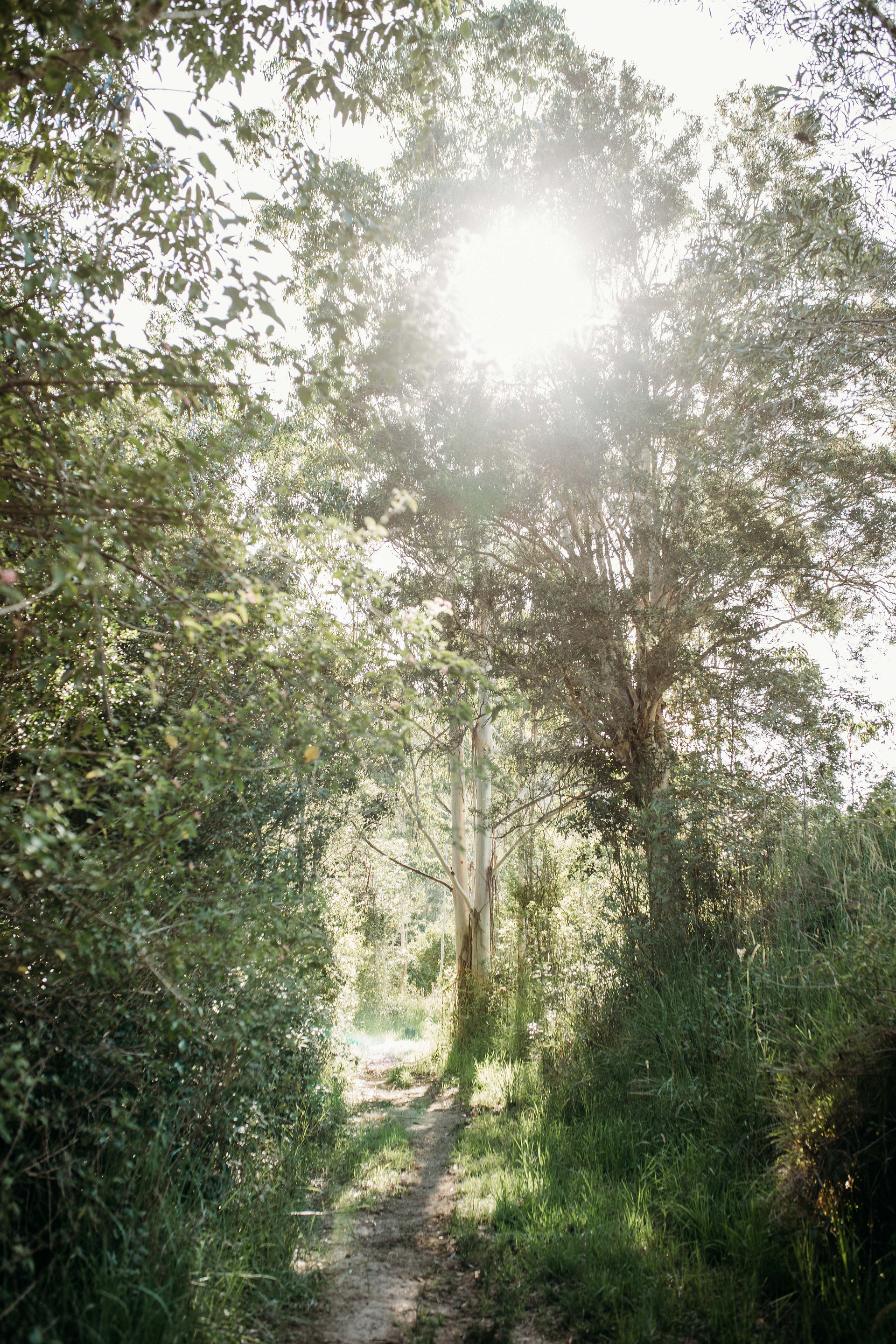 Mimi Valley, Krambach