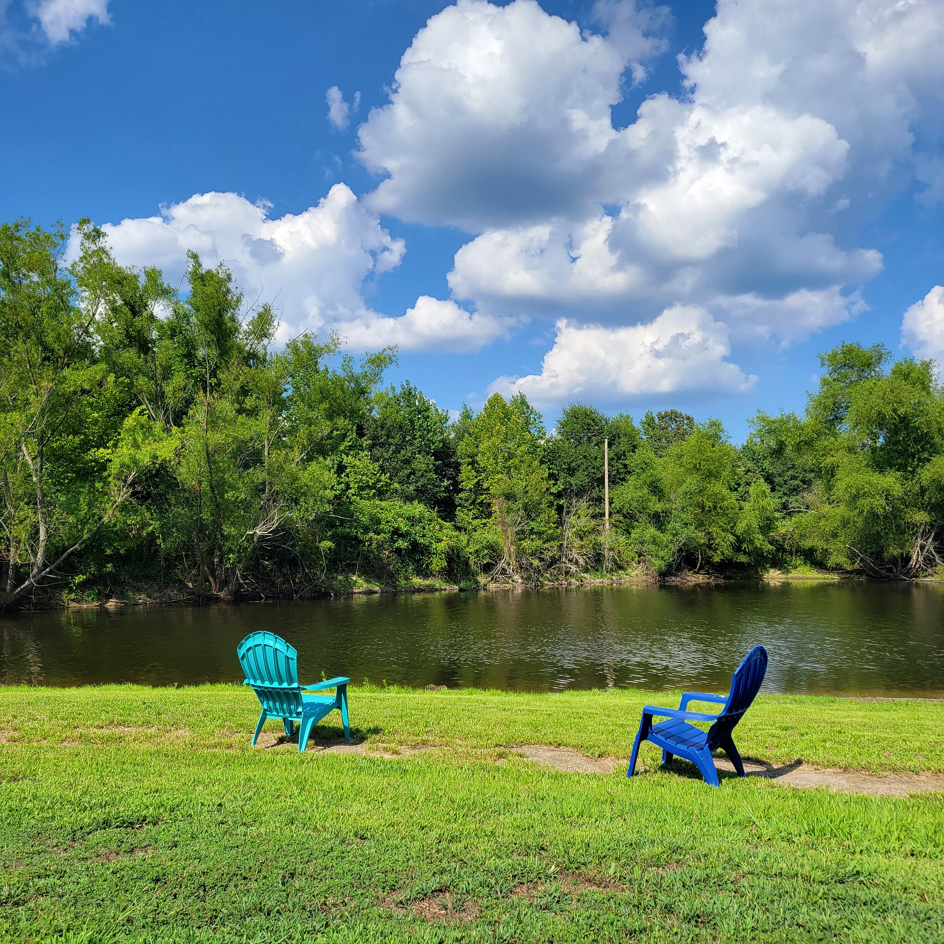 Wellness in the Woods