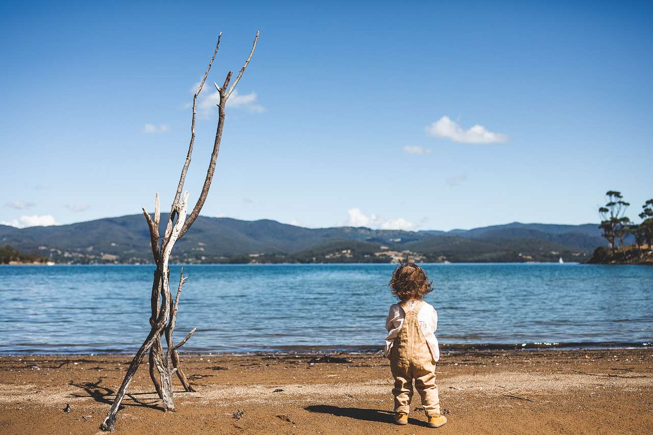 Quoll Hideaway - Bruny Island Bush & Beach camping