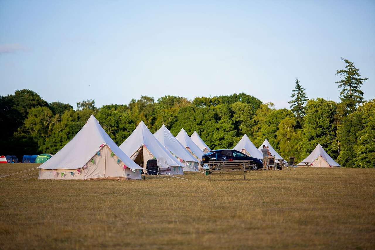 Harry's Meadow
