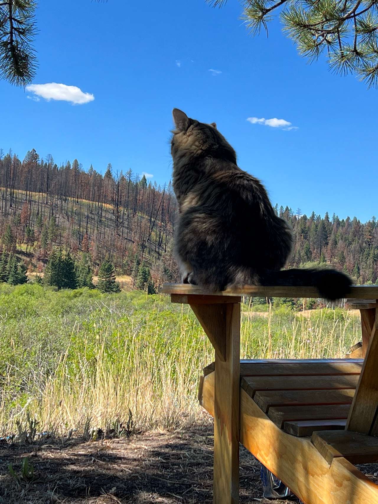 Highland House Ranch BnB