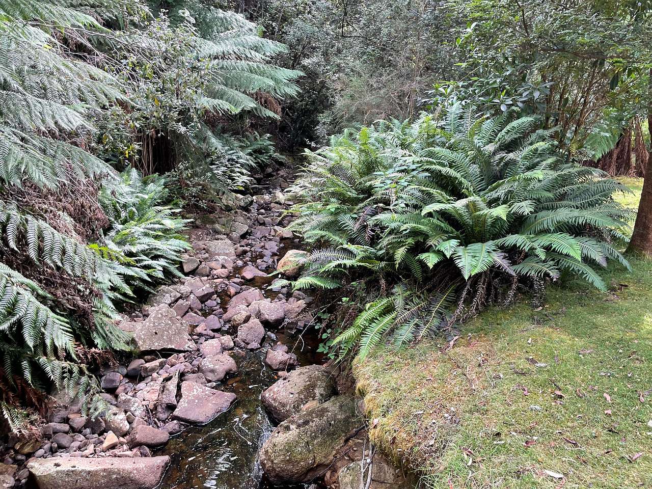 fresh water stream