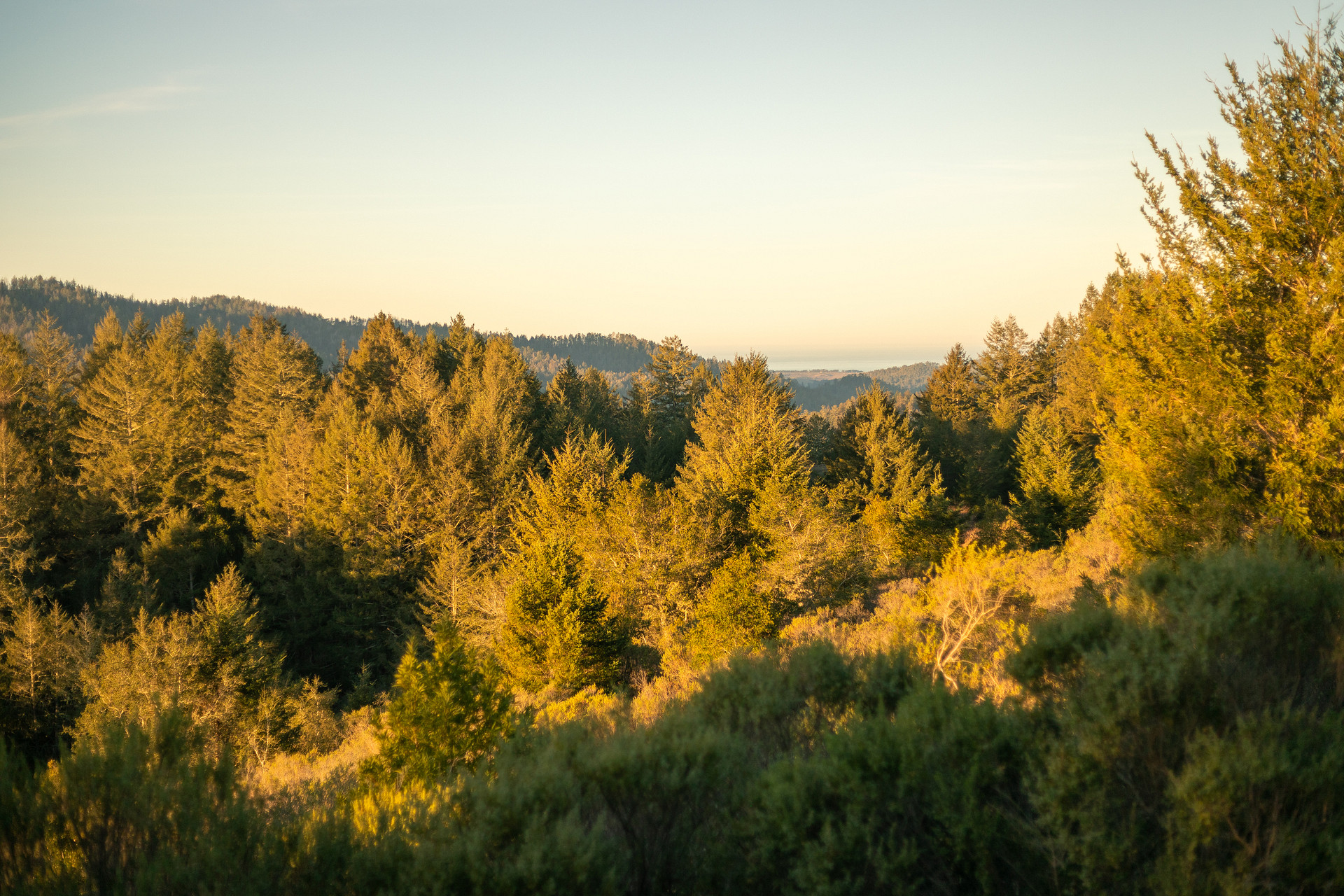 View of the ocean from the lookout