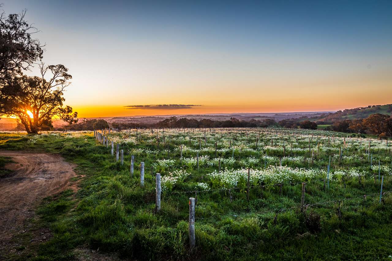Cargo Road Wines