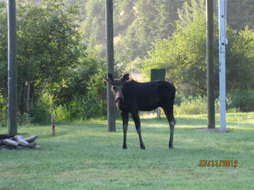 Wolf Lodge Campground