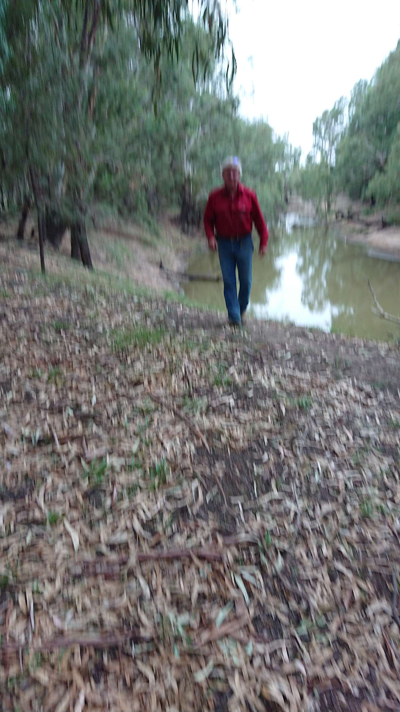 warwick marsh