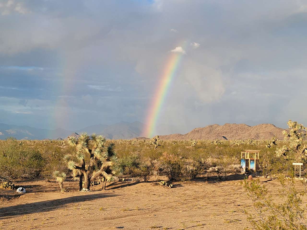 Magic in the Mojave