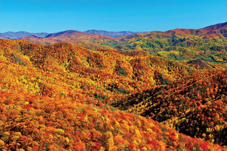 The mountains in the fall!