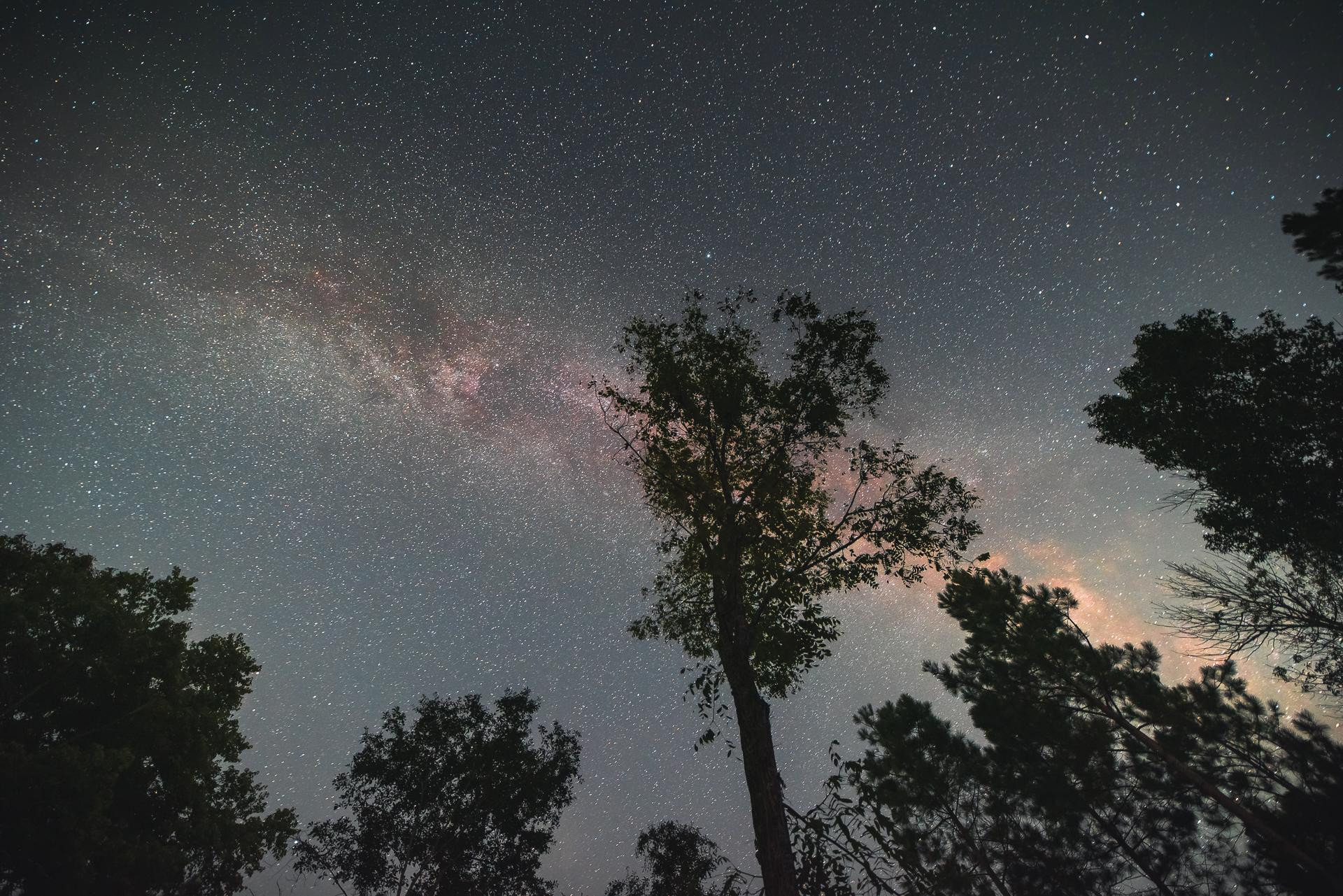 The night sky from the site!