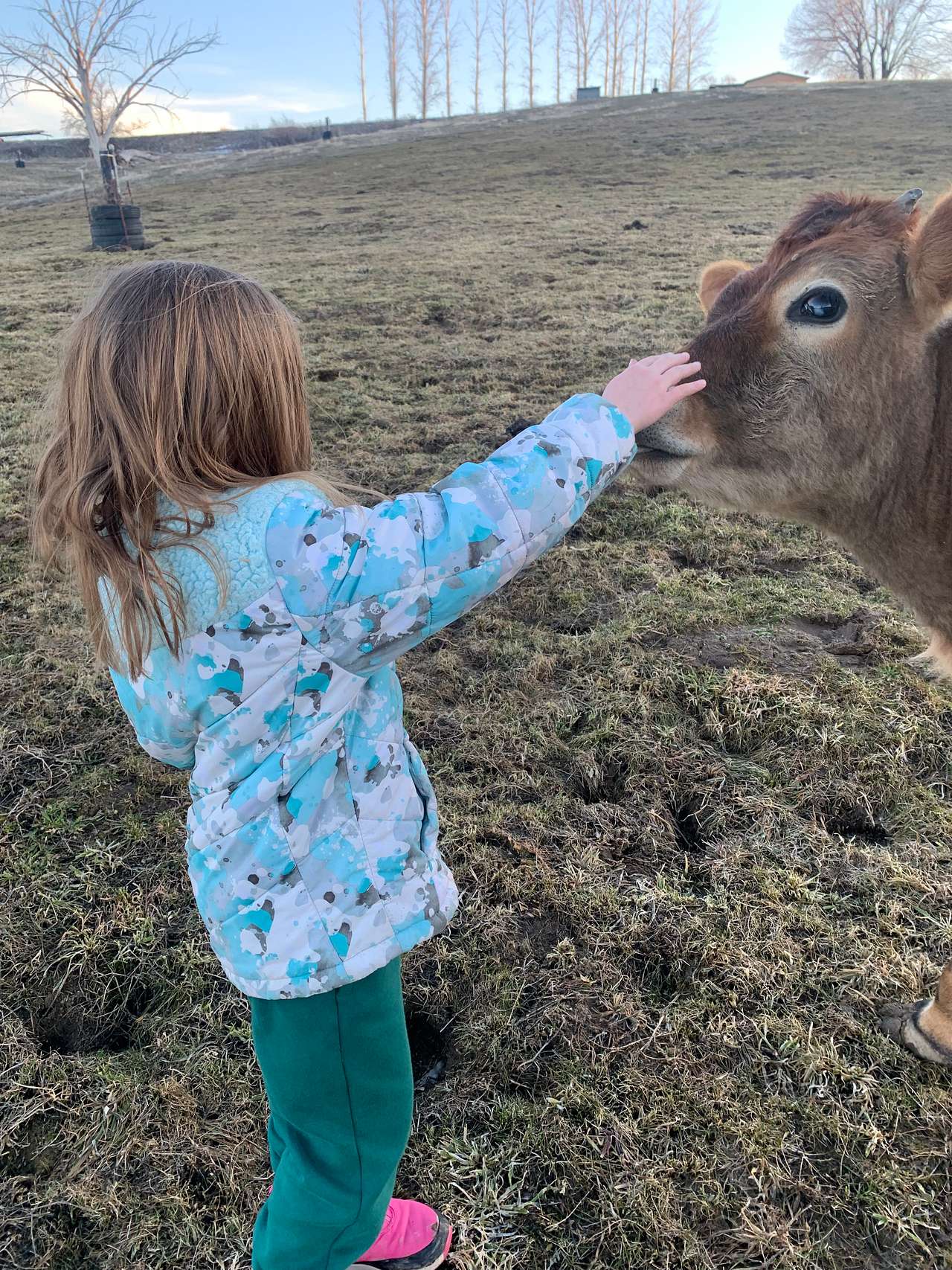 Micone Ranch