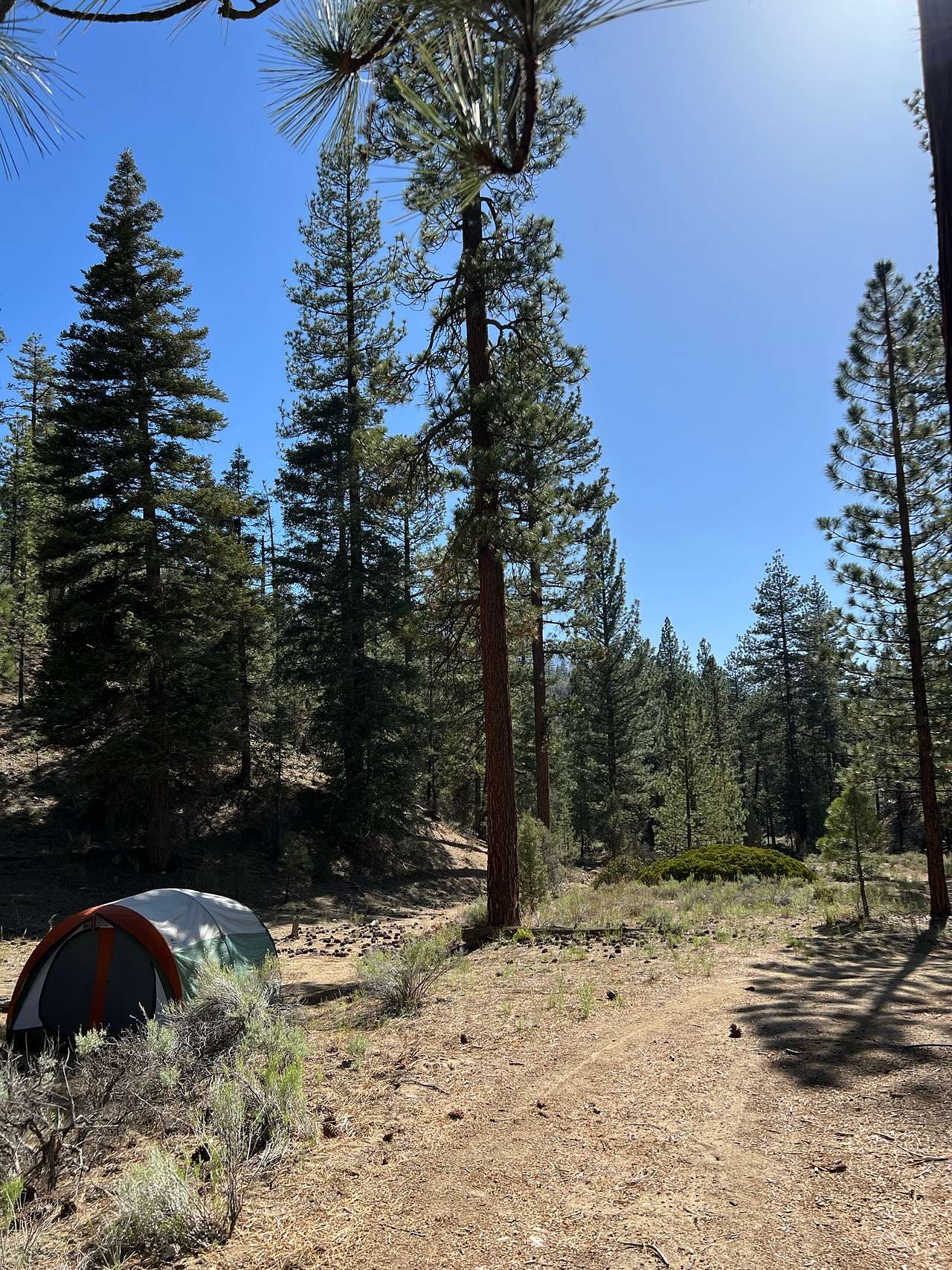 Camp Durrwood