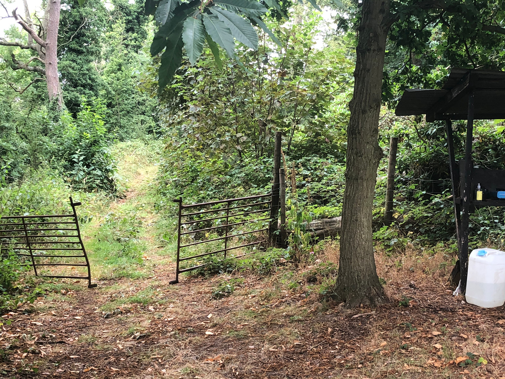 Larch’s Hideaway Hut