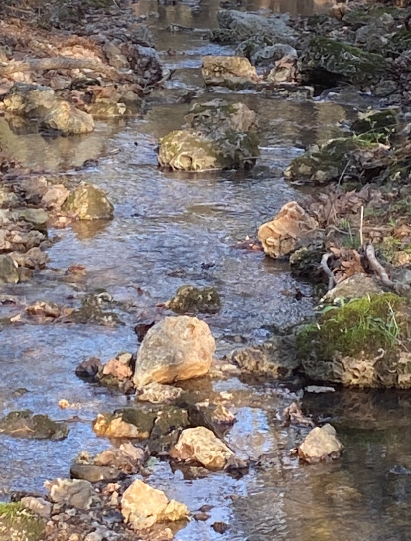 Our creek from our spring
