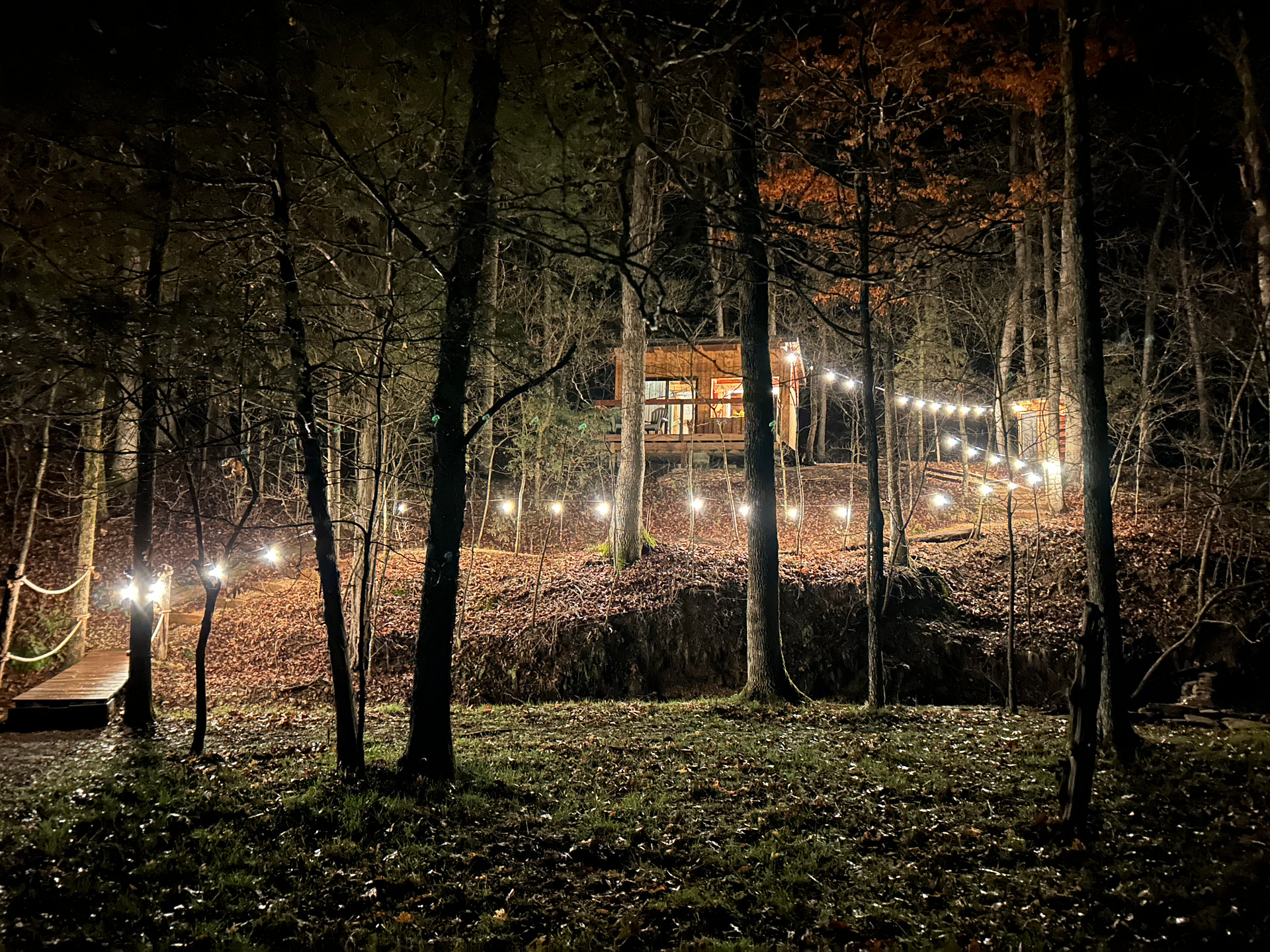 Catkins Creek