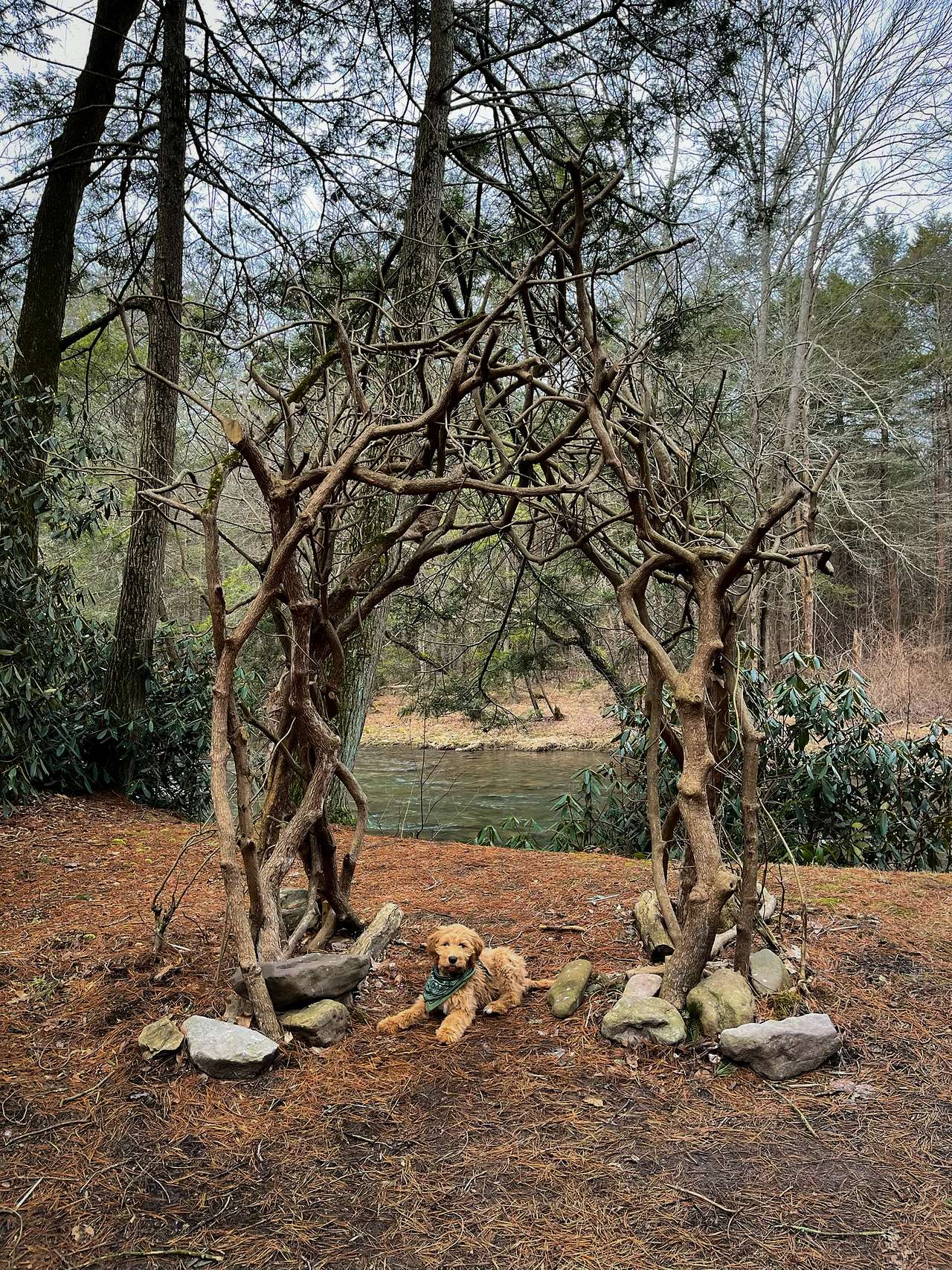 River Mountain Outdoors