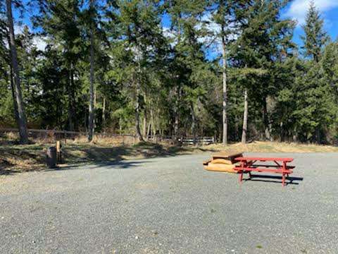 Wild Coast Parksville Campsite