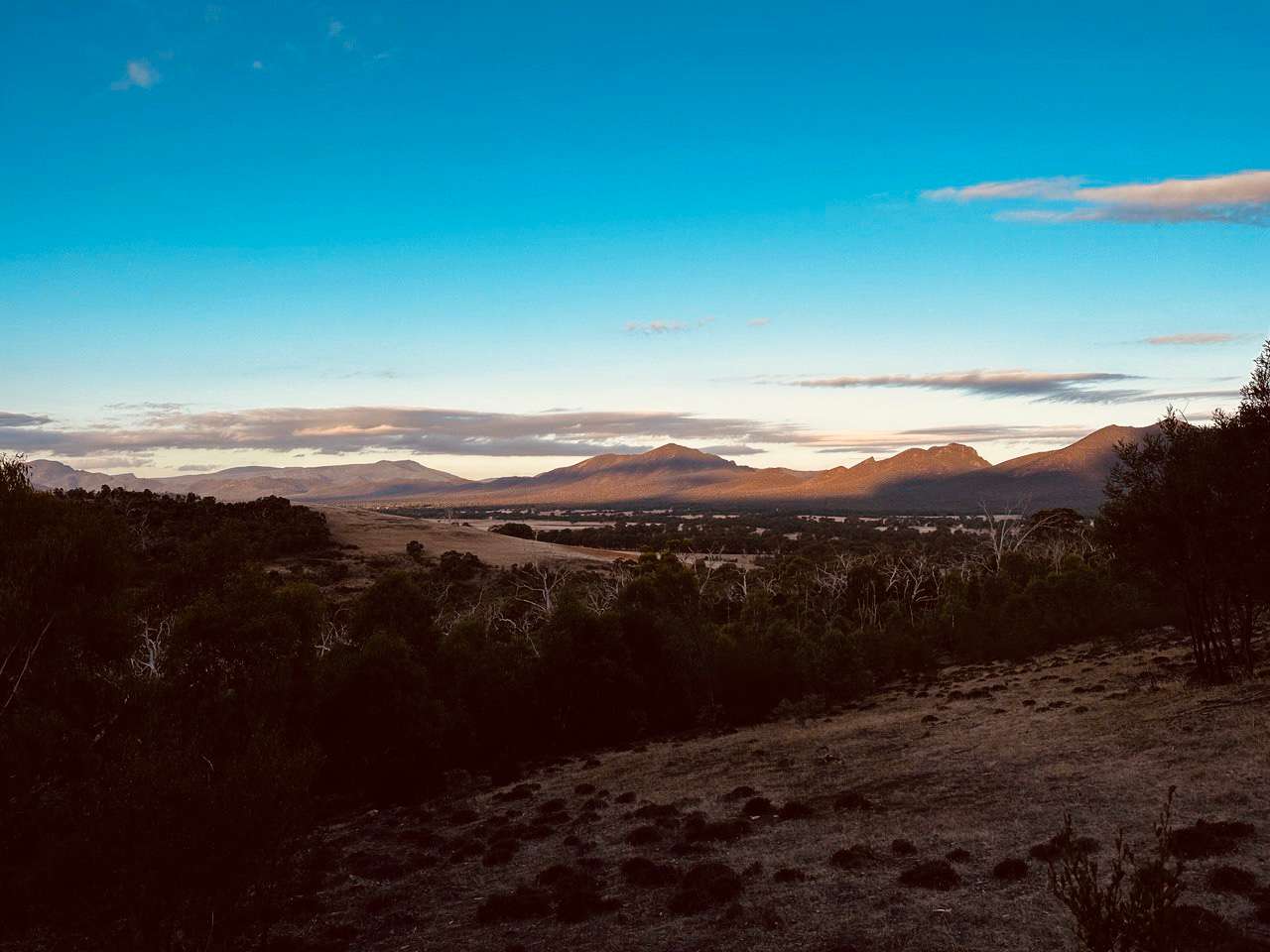 Bona Vista