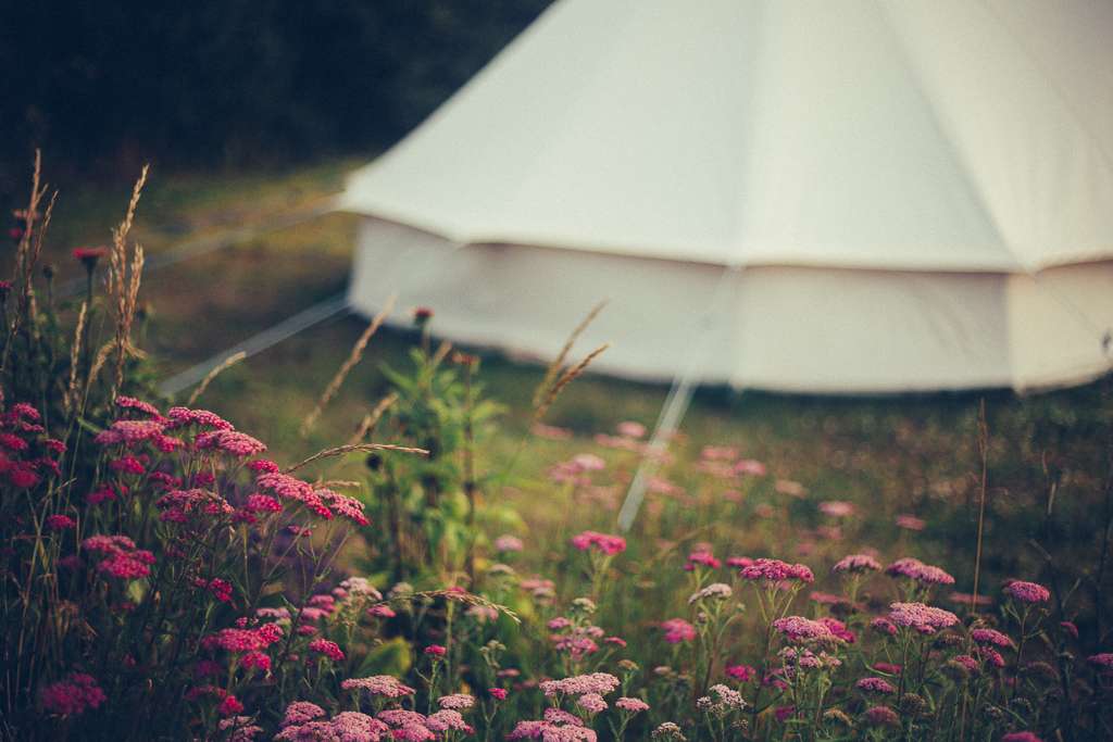 The Paddock Wildcamp Glamping