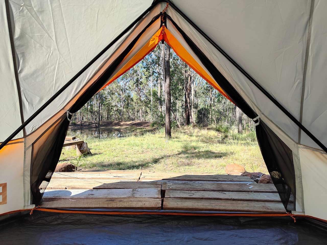 Hunter Downs