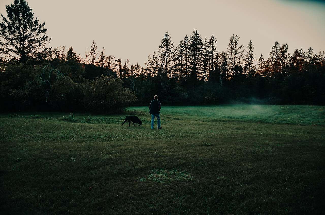 Mist at dusk