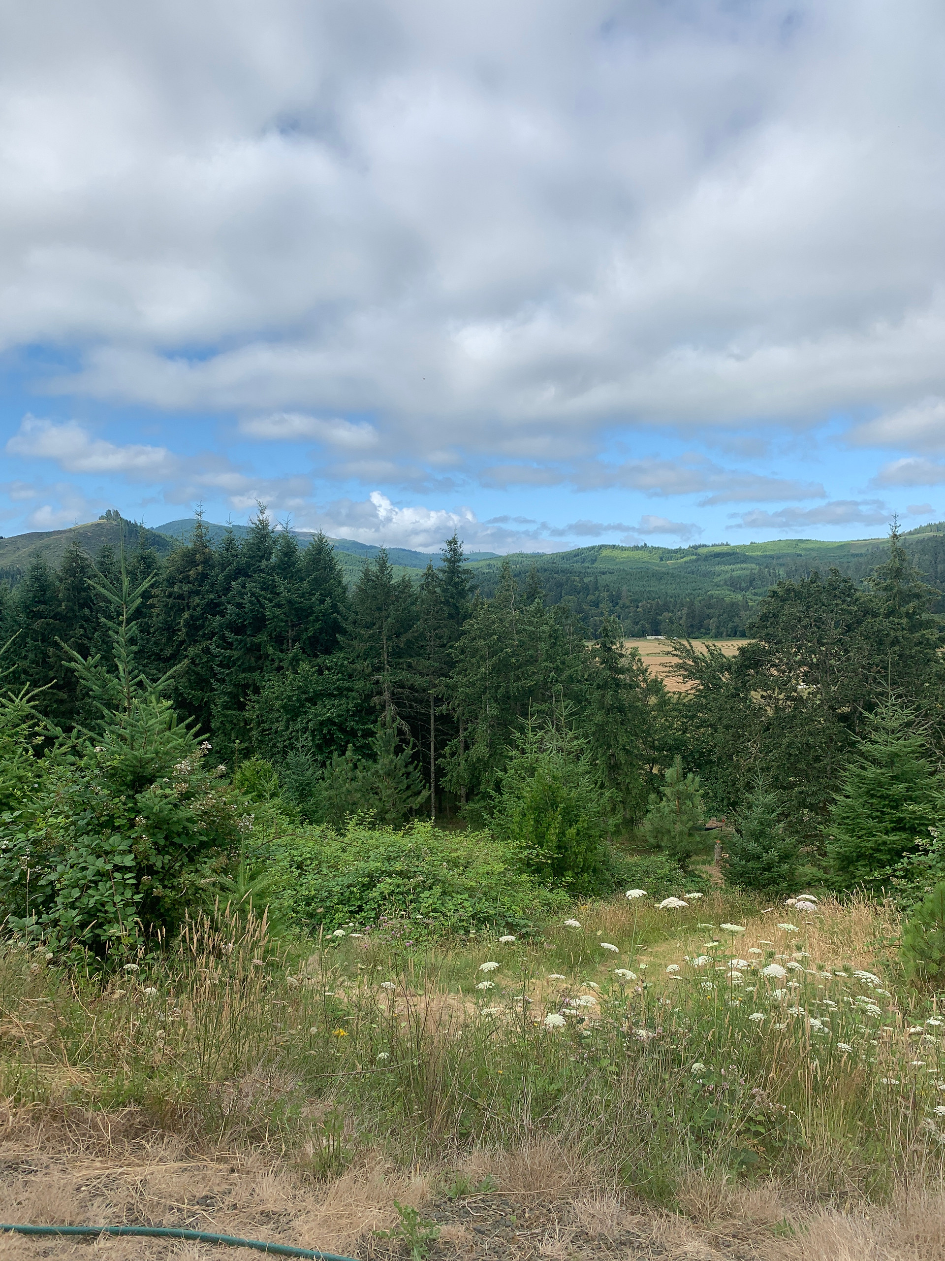 View from RV site