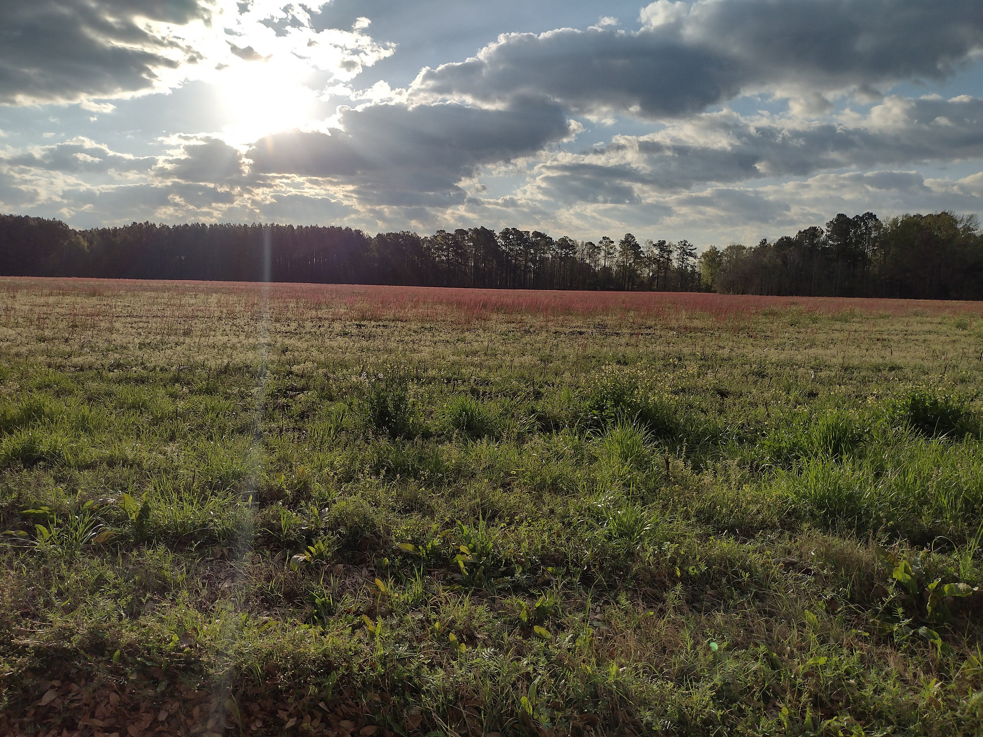 Farm field across the road 